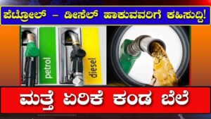 petrol-diesel price