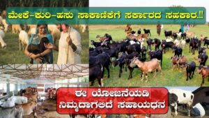 Subsidy for animal husbandry